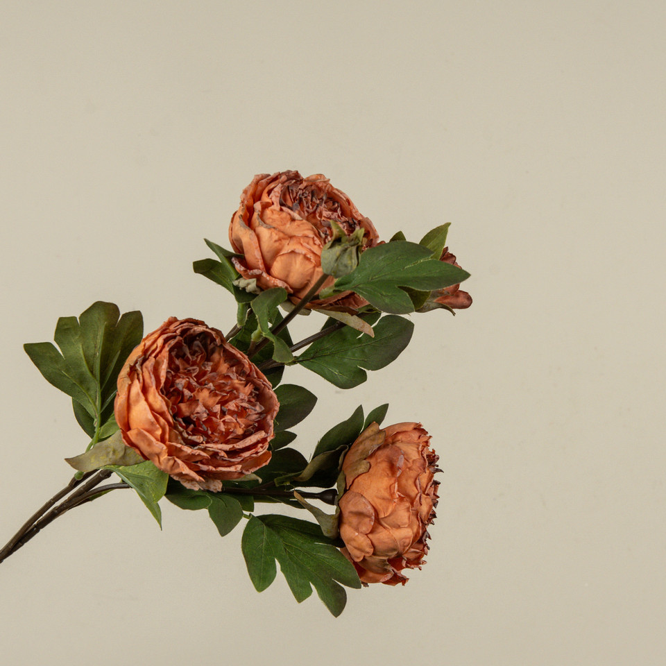25.5" ORANGE DRIED PEONY SPRAY