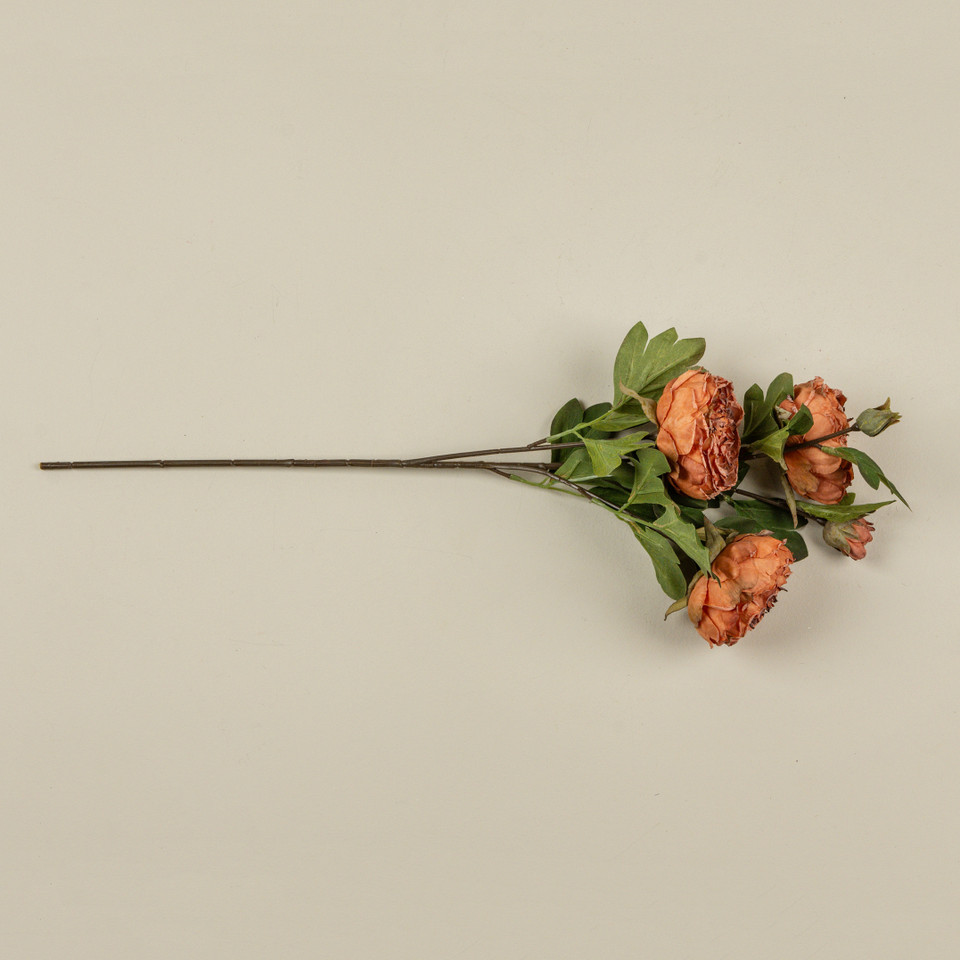 25.5" ORANGE DRIED PEONY SPRAY