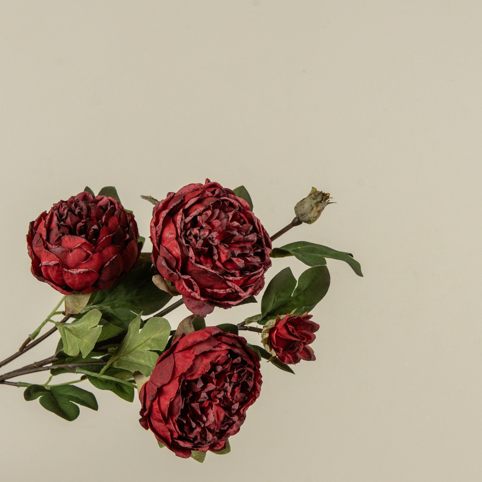 25.5" RED DRIED PEONY SPRAY