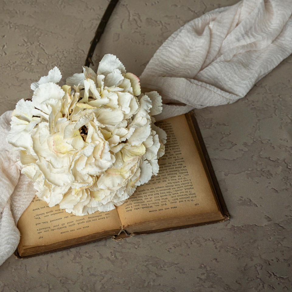 19" CREAM HYDRANGEA SPRAY