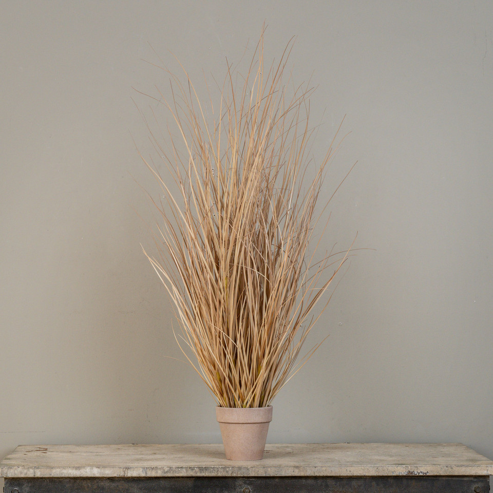 35" TAN GRASS IN POT