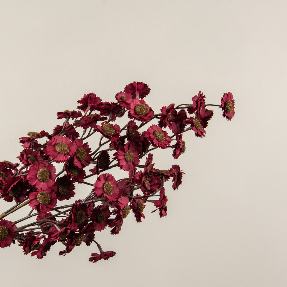 22" BURGUNDY MINI DAISY BUSH