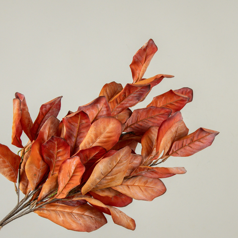 26" DRIED ORANGE MAGNOLIA LEAVES BUNDLE