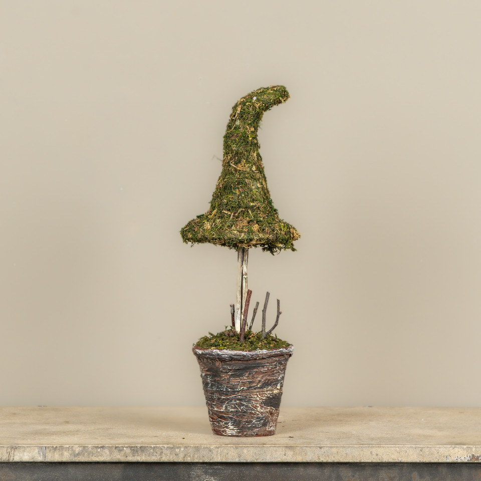 18" POTTED MOSS WITCH'S HAT