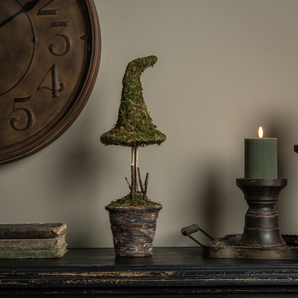 18" POTTED MOSS WITCH'S HAT