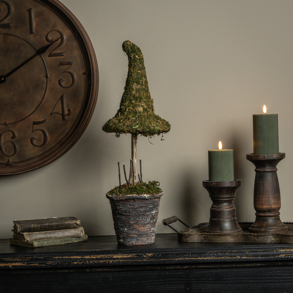 23" POTTED MOSS WITCH'S HAT