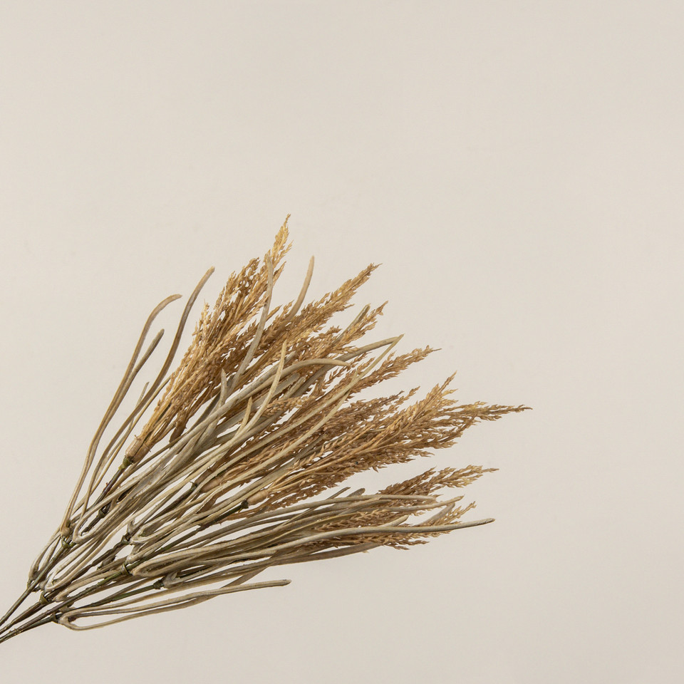 13.5" WHEAT & GRASS BUSH