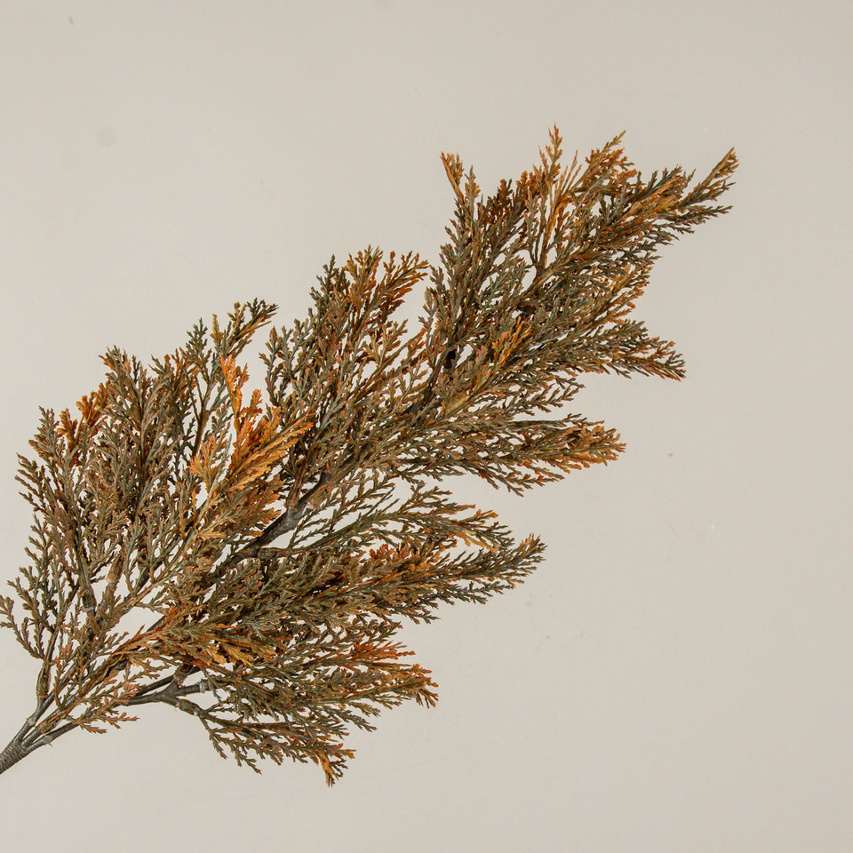 29" ORANGE TIPPED JUNIPER SPRAY