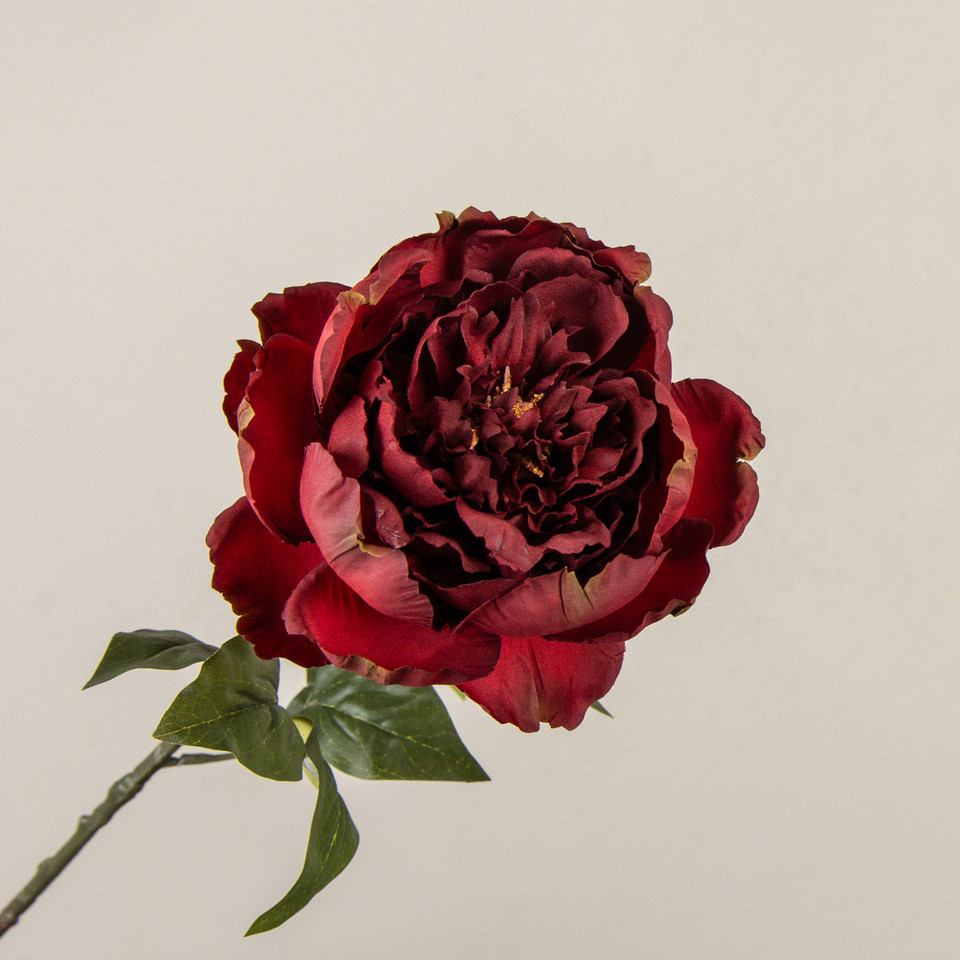 28" BURGUNDY PEONY STEM