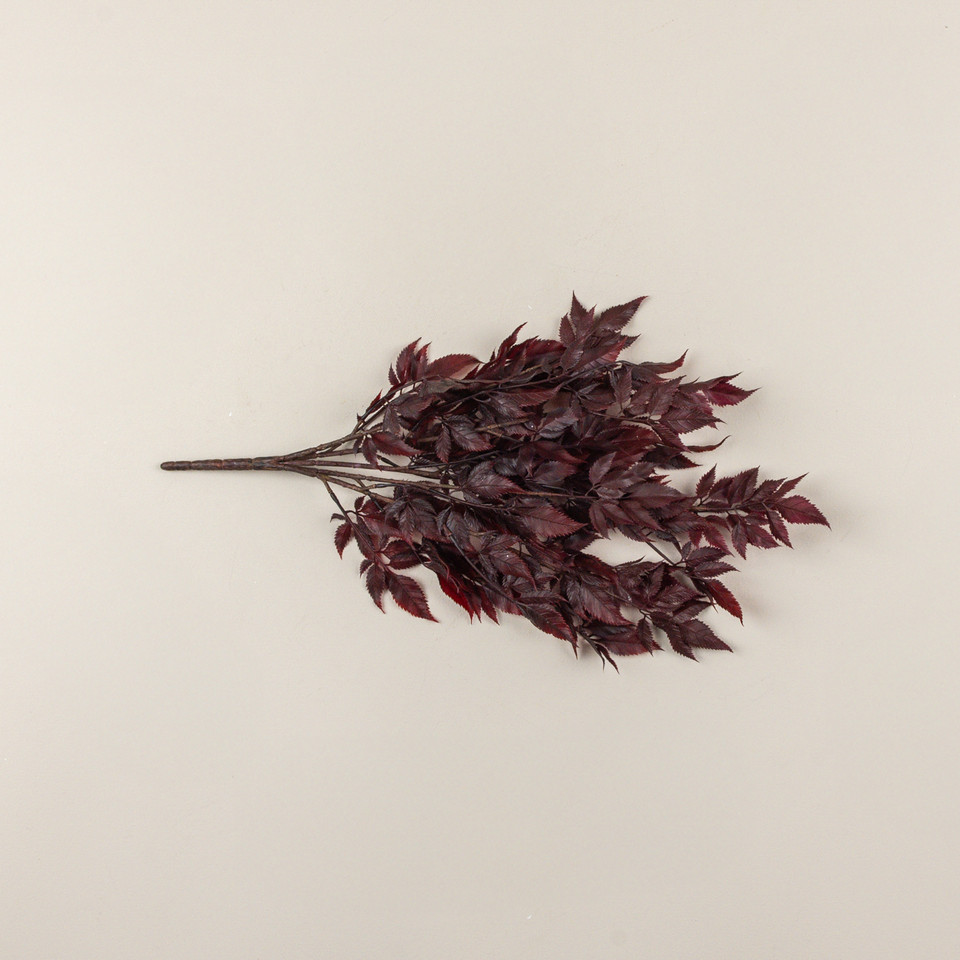 21" RED SPIKENARD LEAF BUSH