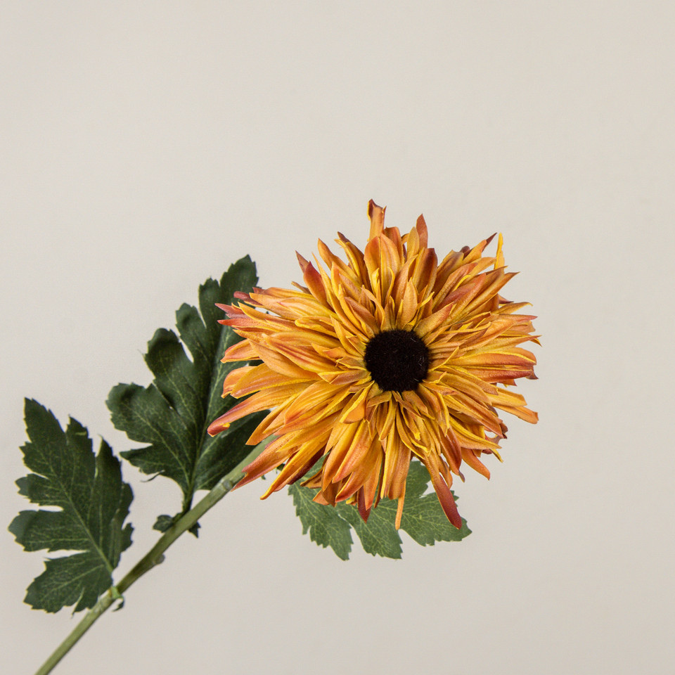 25" GOLDEN MUM STEM