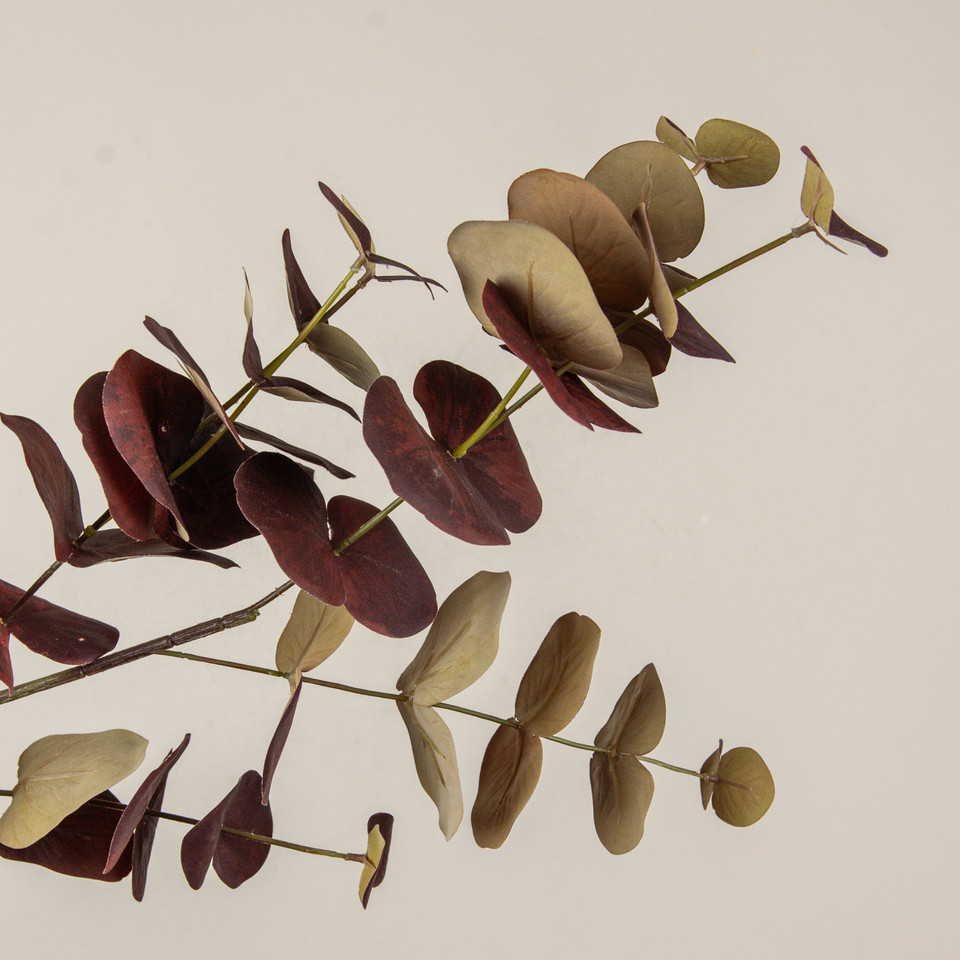 39" BURGUNDY EUCALYPTUS STEM