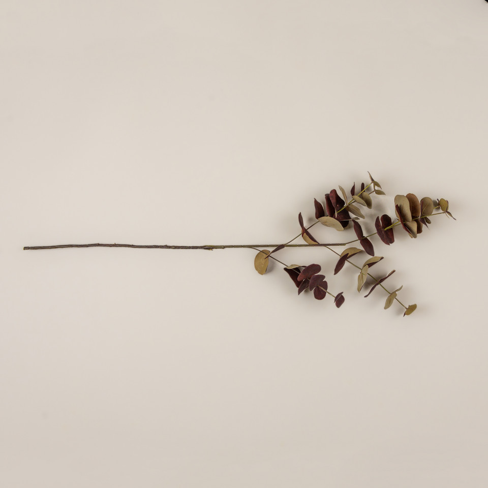39" BURGUNDY EUCALYPTUS STEM