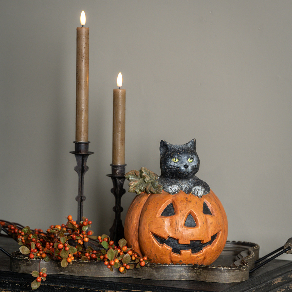 BLACK CAT IN JACK-0-LANTERN