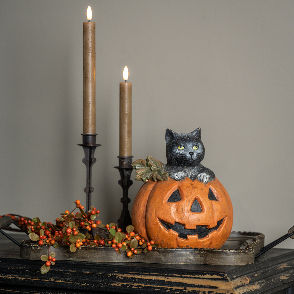BLACK CAT IN JACK-0-LANTERN