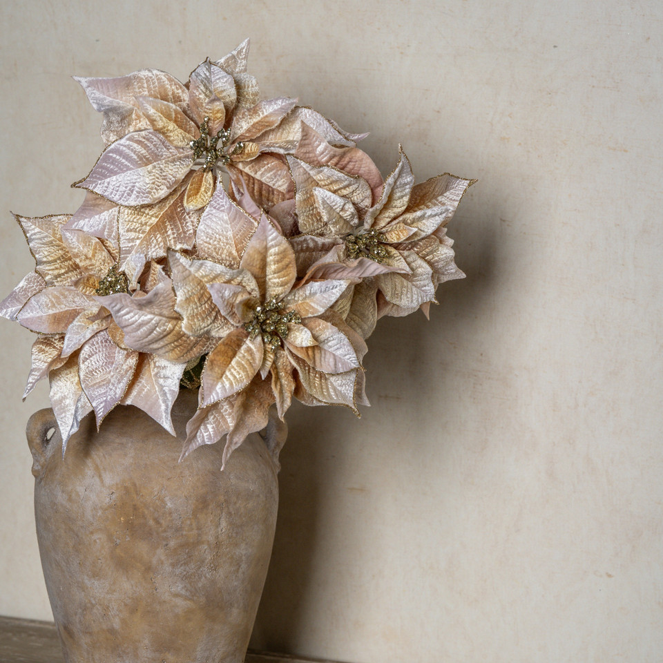 27" BEIGE POINSETTIA STEM