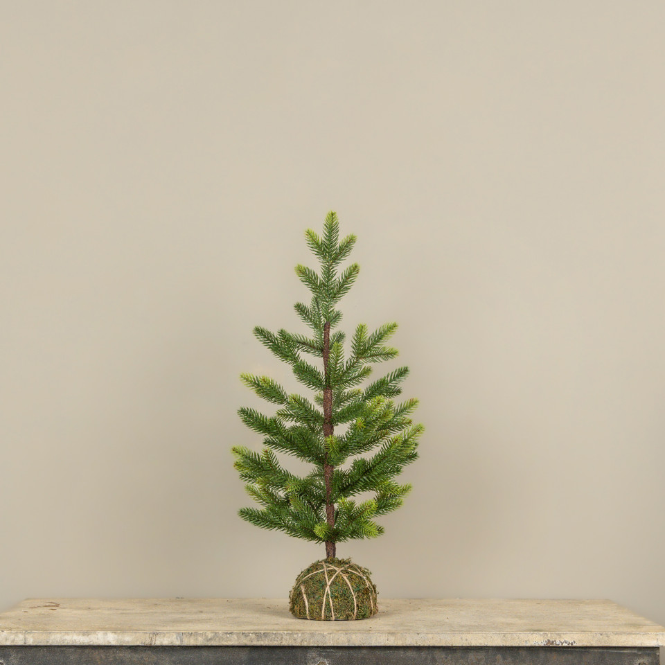 2' FLETCHER PINE TREE W/ MOSS BASE
