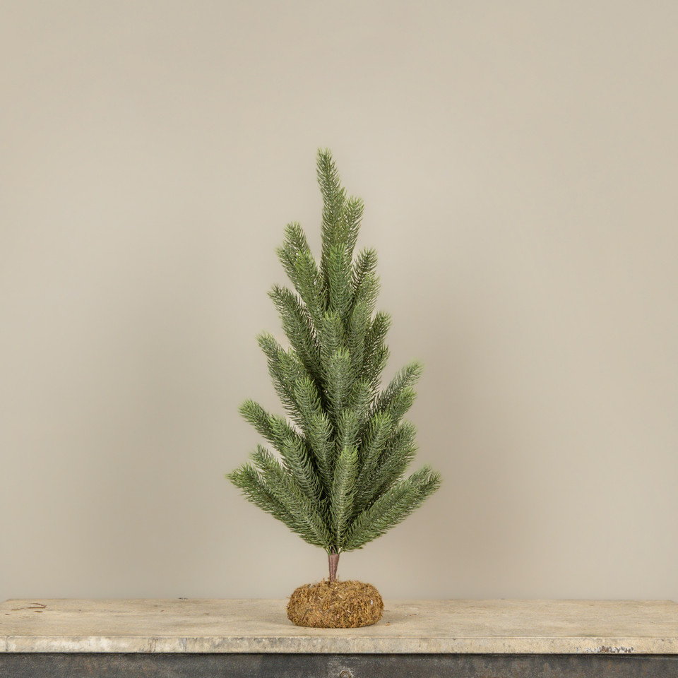 24" EASTERN SPRUCE PINE TREE W/ MOSS BASE
