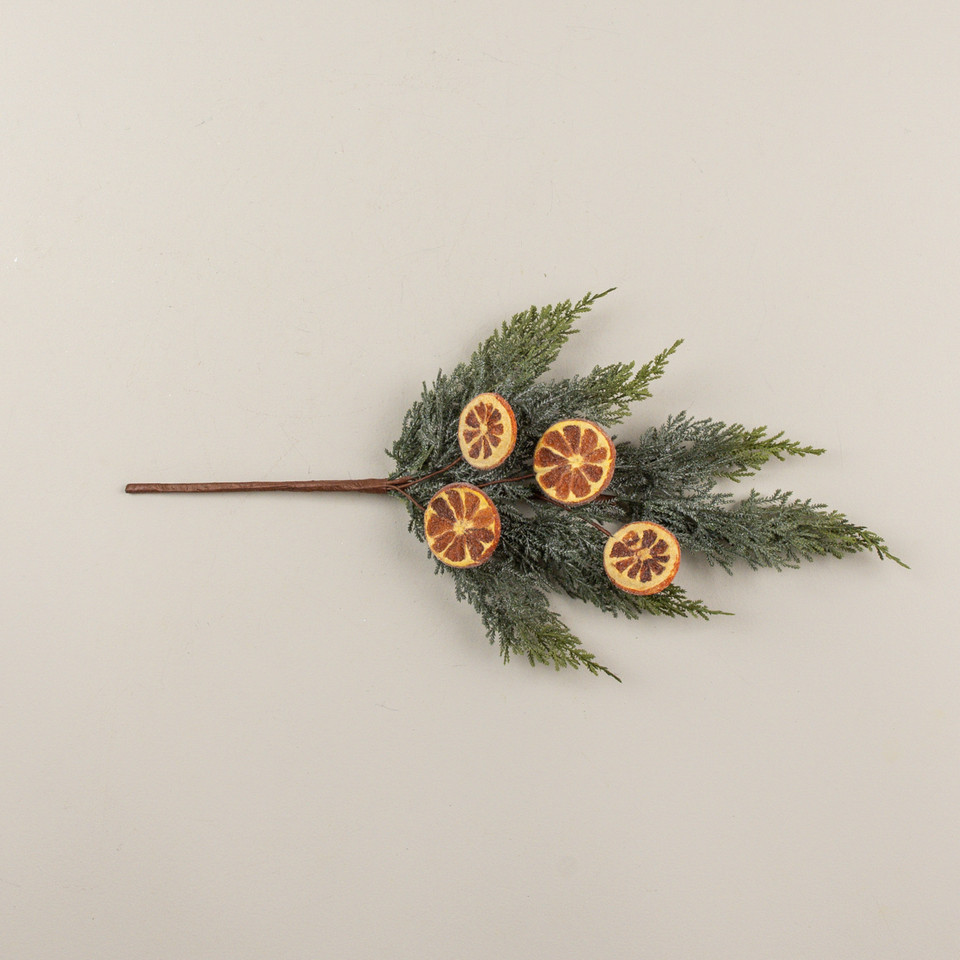 21" JUNIPER & FRUIT SLICE PICK