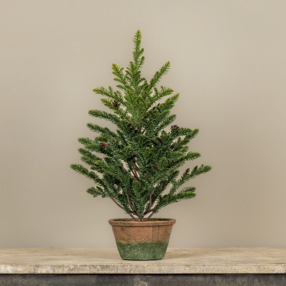 21" PERCY PINE TREE IN POT