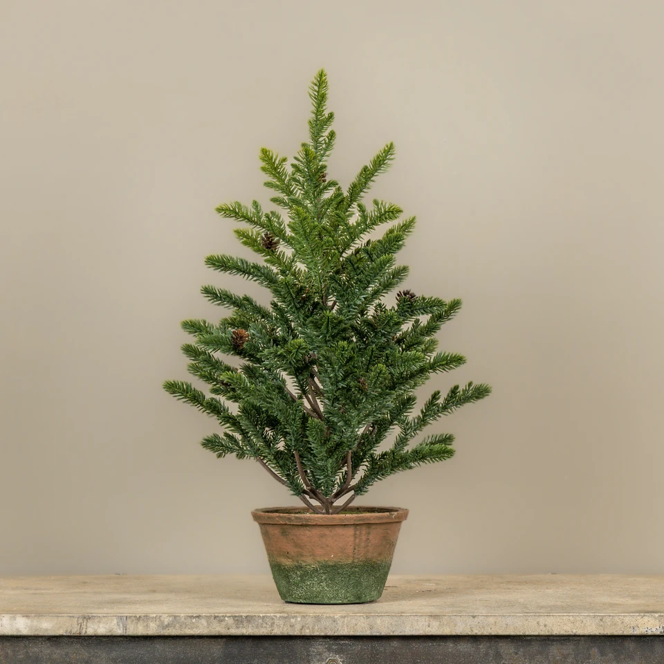 21" PERCY PINE TREE IN POT