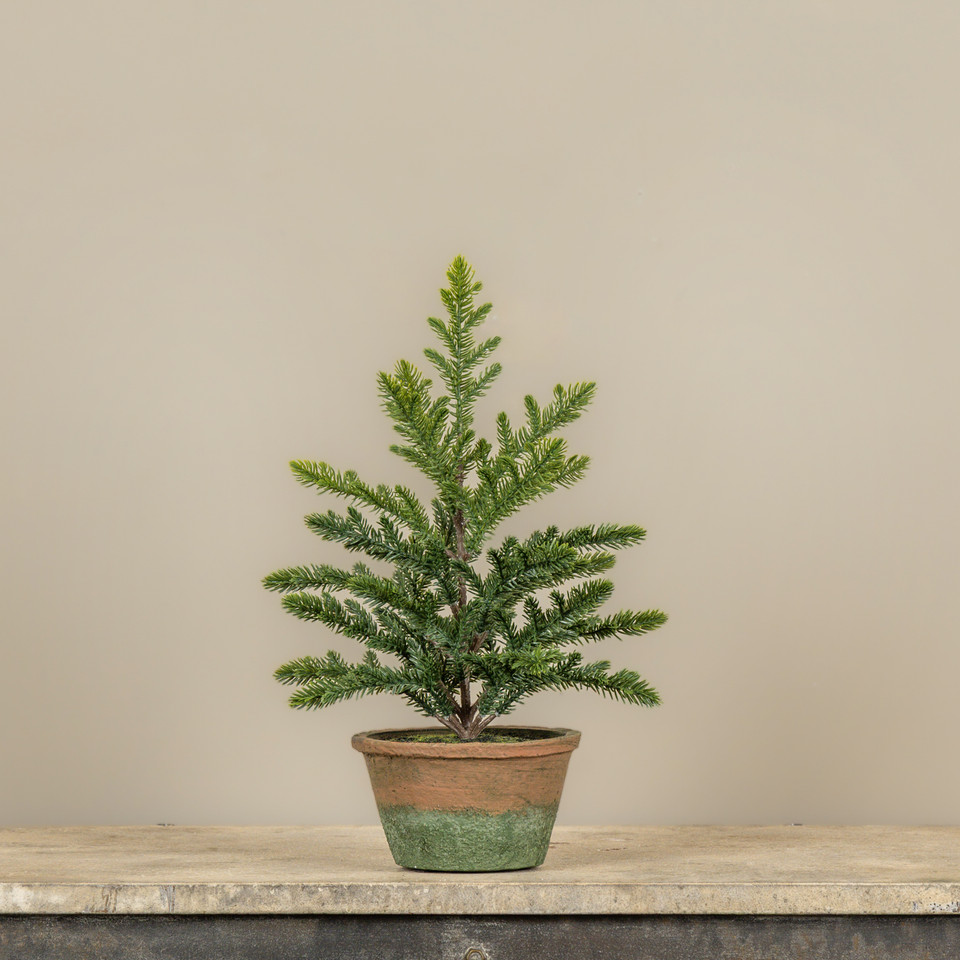16" PERCY PINE TREE IN POT