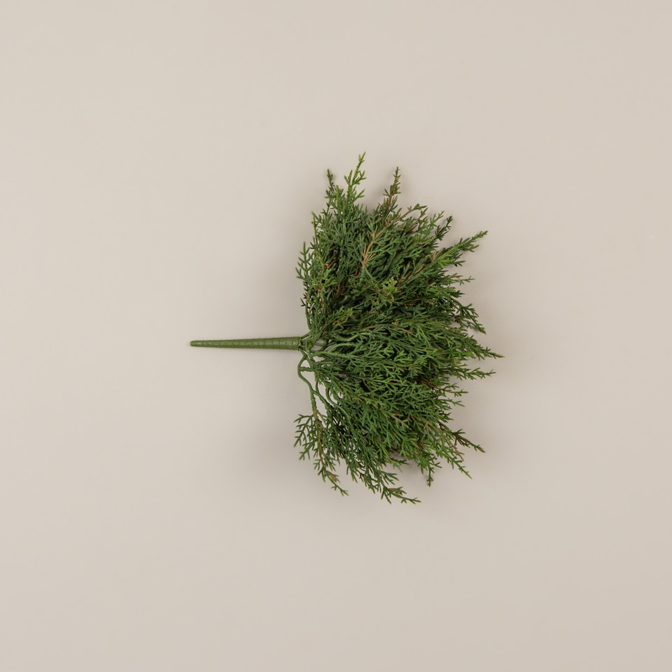 12" JUNIPER BUSH