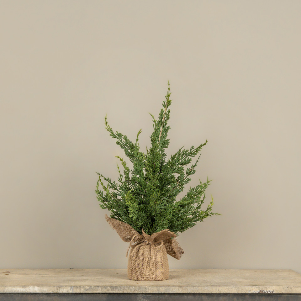 23" CYPRESS & RUSCUS TREE W/ BURLAP BASE