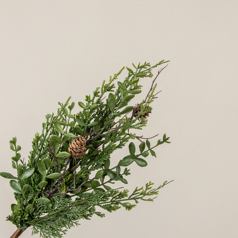 17" CYPRESS & RUSCUS PICK