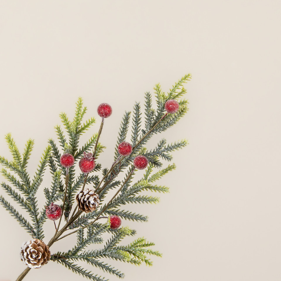 15" MOUNTAIN PINE W/ ICED BERRIES SPRAY