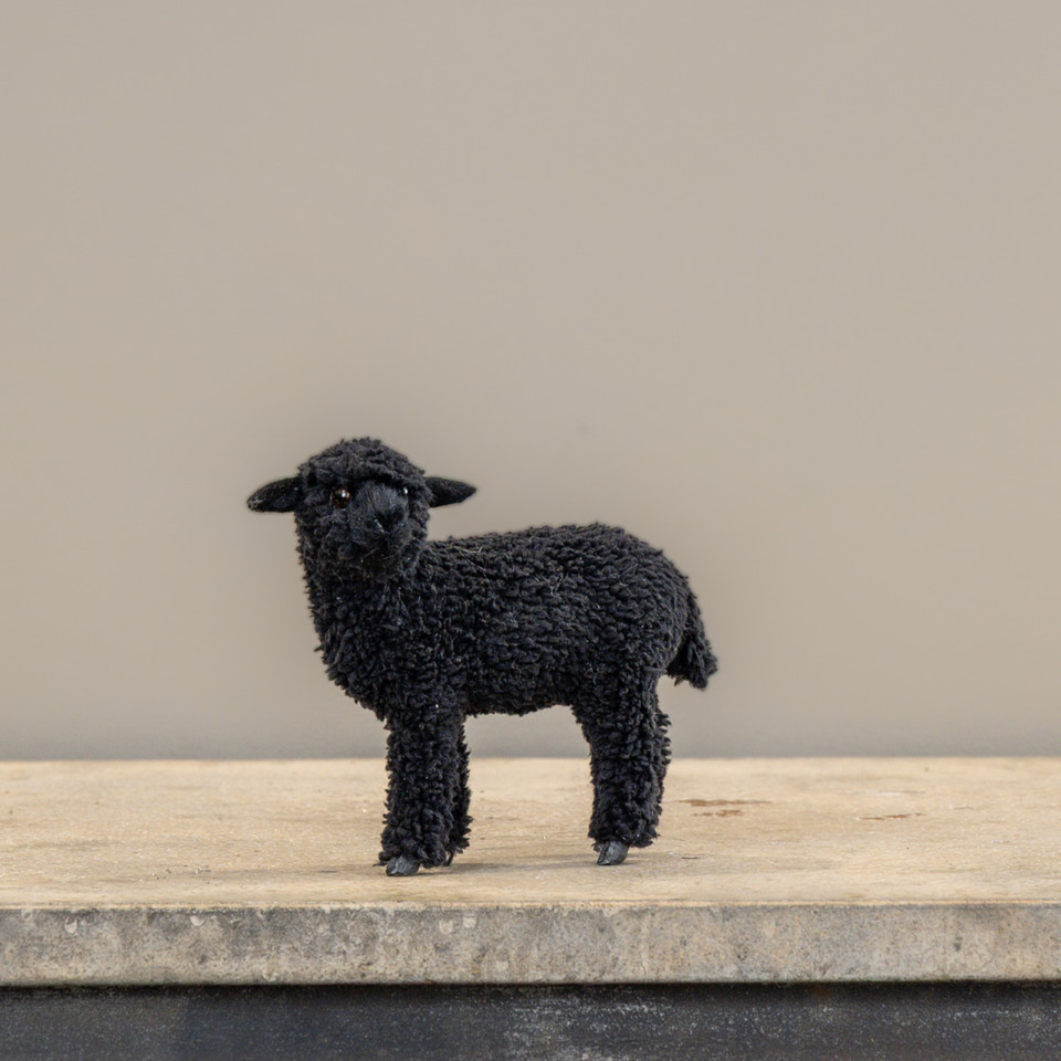 4.5" STANDING BLACK SHEEP