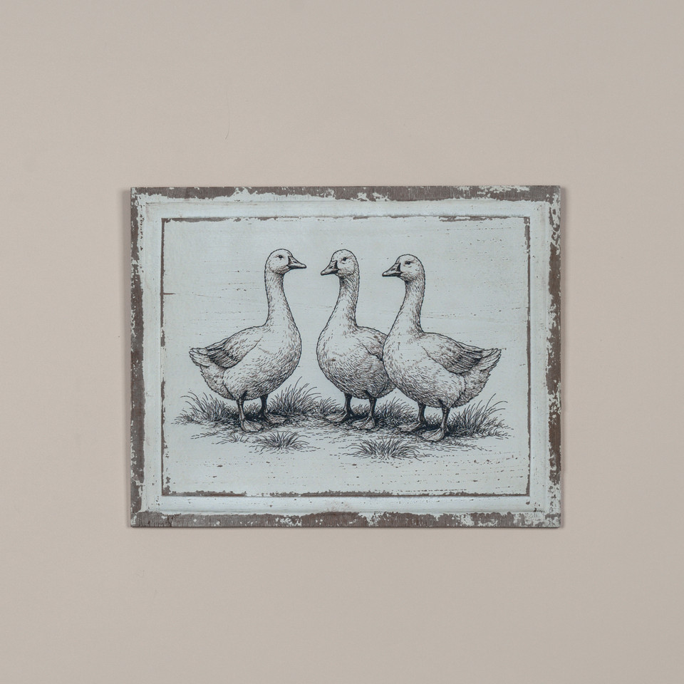 20" DUCK TRIO PRINT