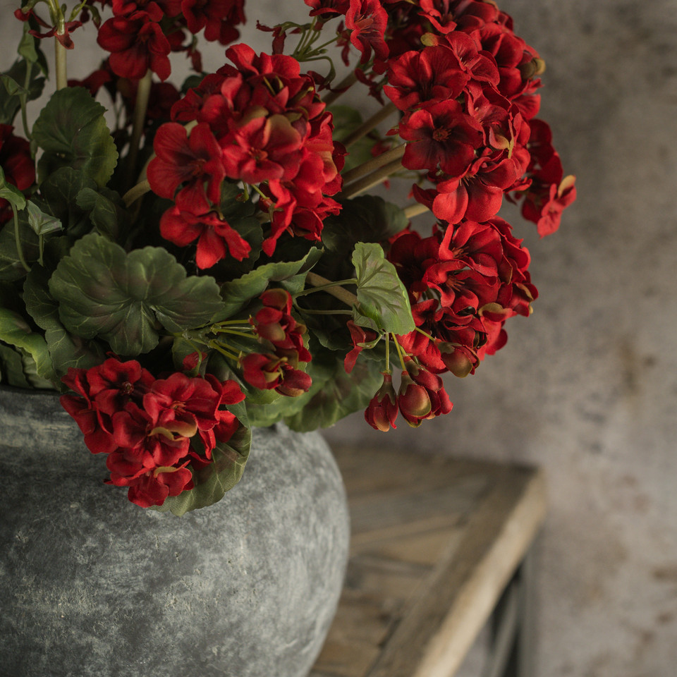19.5" RED GERANIUM BUSH
