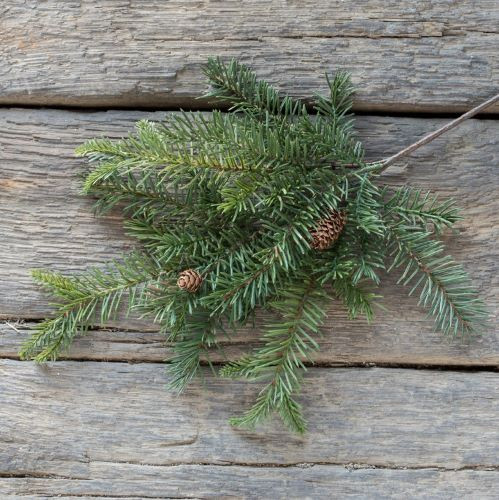 19"  DOUGLAS FIR SPRAY W/ PINECONES