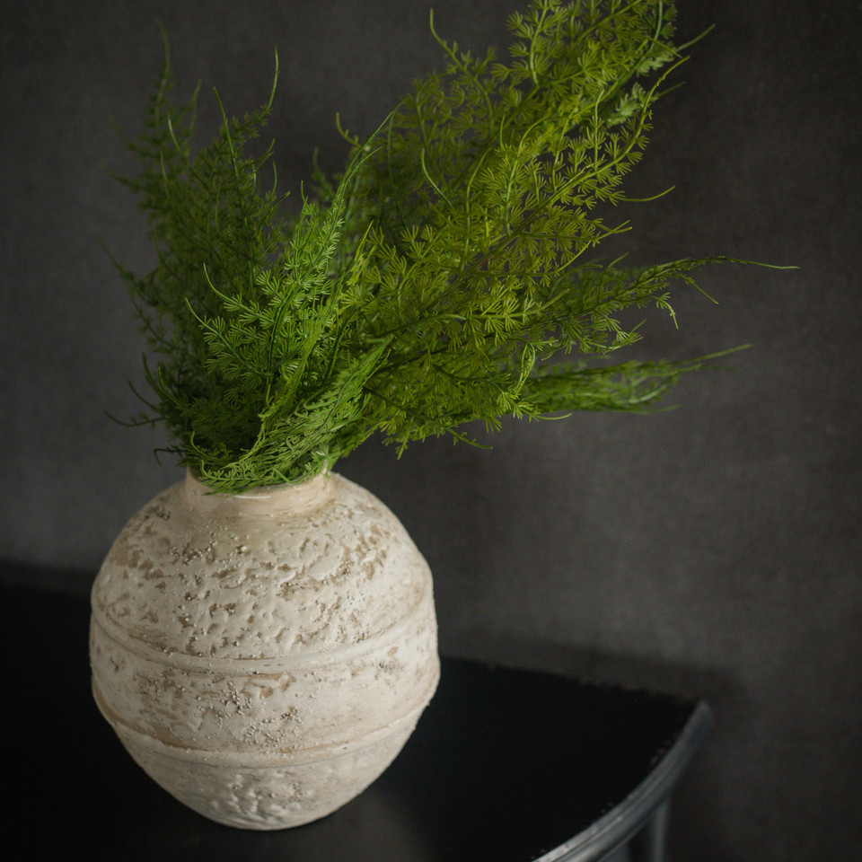 18" ASPARAGUS FERN