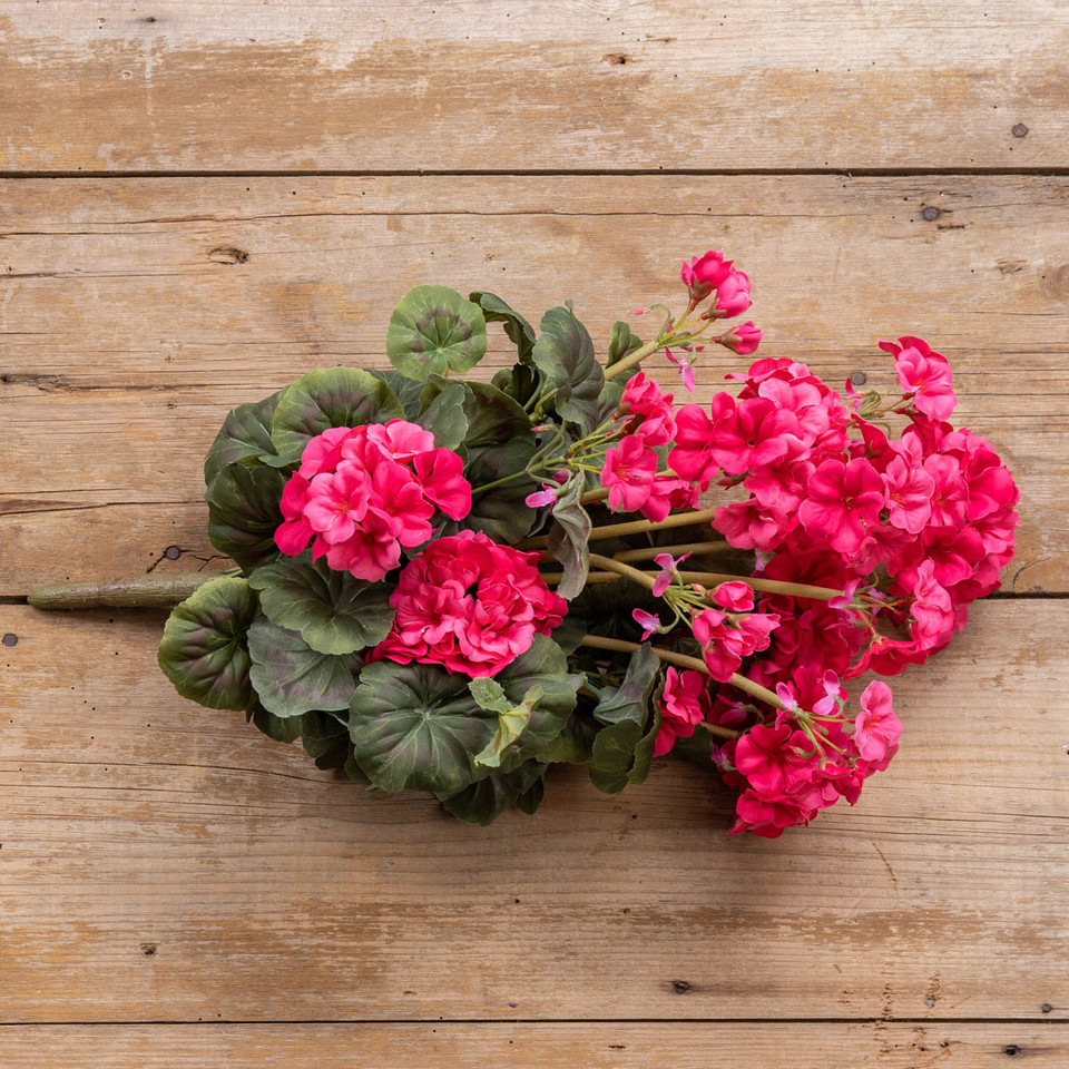 19.5" DARK PINK GERANIUM BUSH