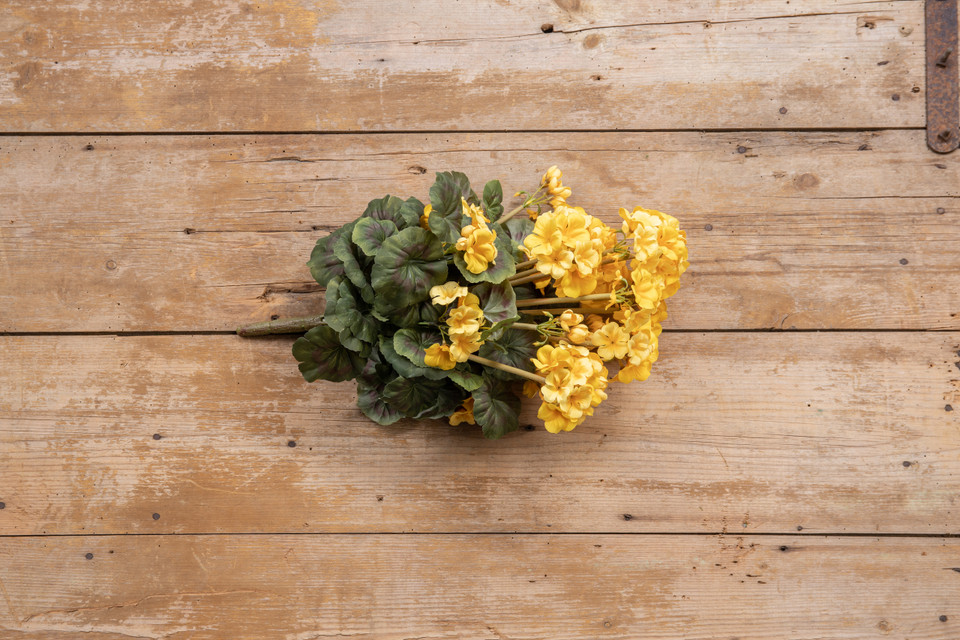 19.5" YELLOW GERANIUM BUSH