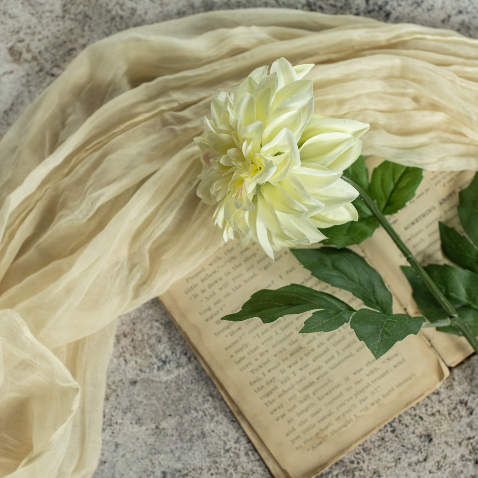 24" LIGHT GREEN DAHLIA STEM