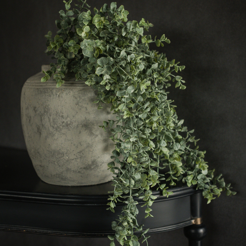 33" WHITEWASH GREEN EUCALYPTUS HANGING BUSH