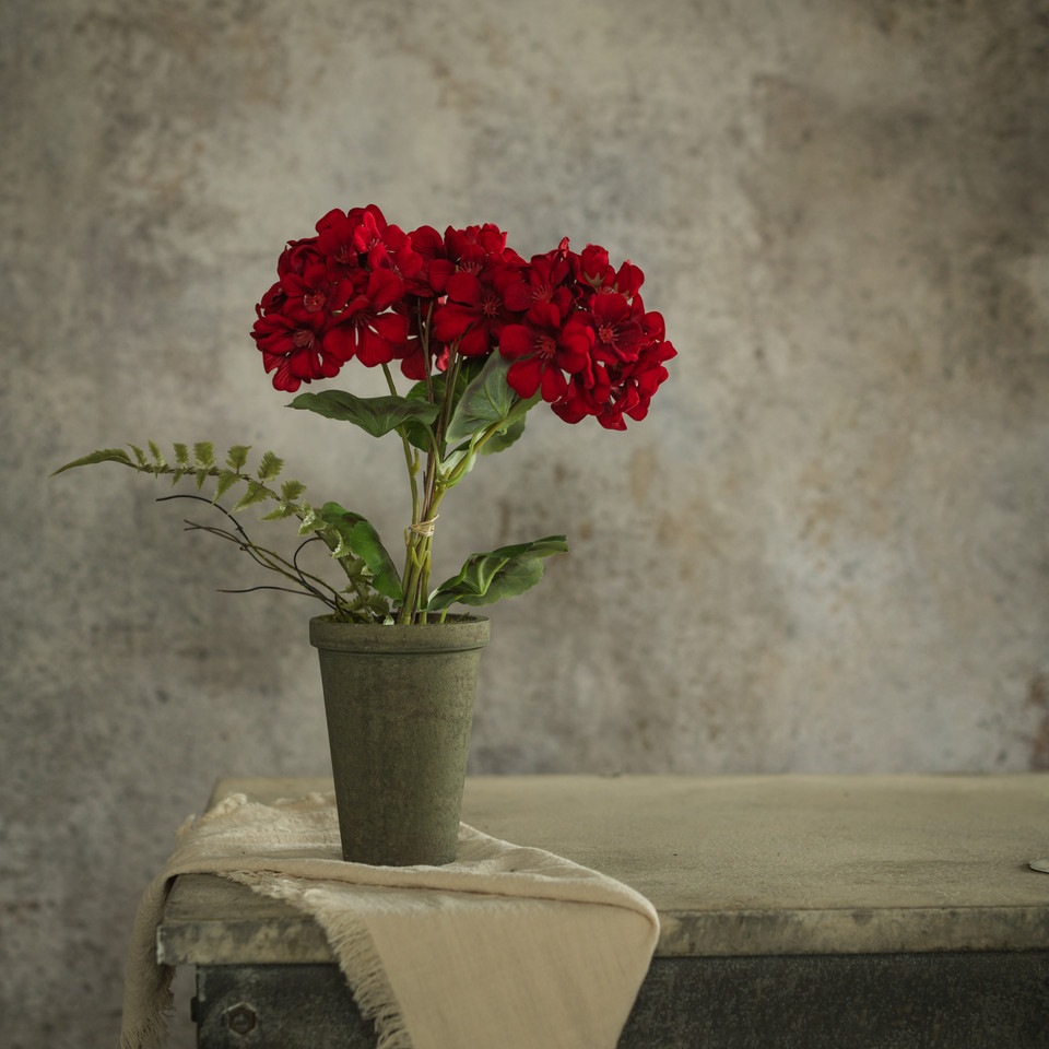 14" RED POTTED GERANIUM