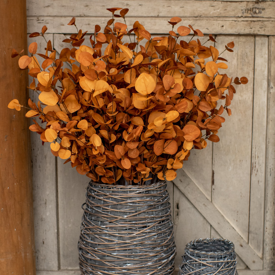 35" RUST EUCALYPTUS SPRAY