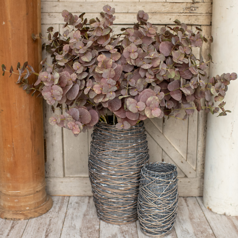 36" BURGUNDY EUCALYPTUS SPRAY