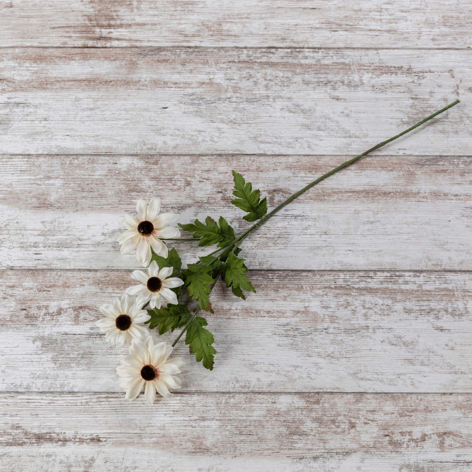 25" CREAM BLACK-EYED-SUSAN STEM