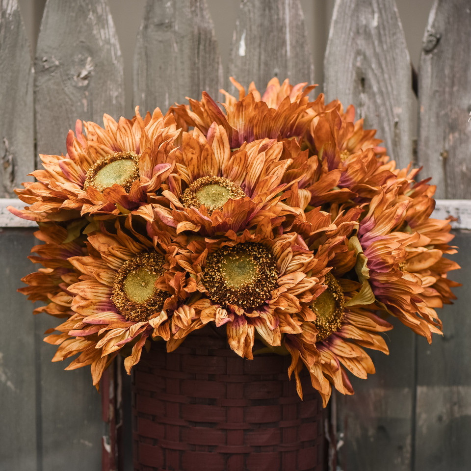 26" RED AND BROWN SUNFLOWER STEM