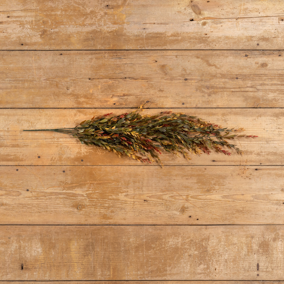 34.5" GREEN & RED COMMON BOXWOOD  HANGING BUSH