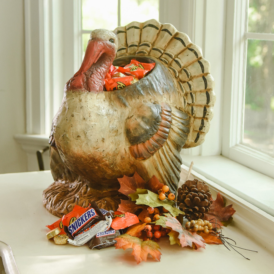 16" TURKEY CONTAINER