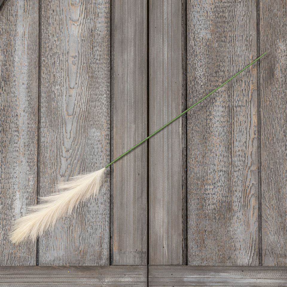 32" PAMPAS GRASS STEM