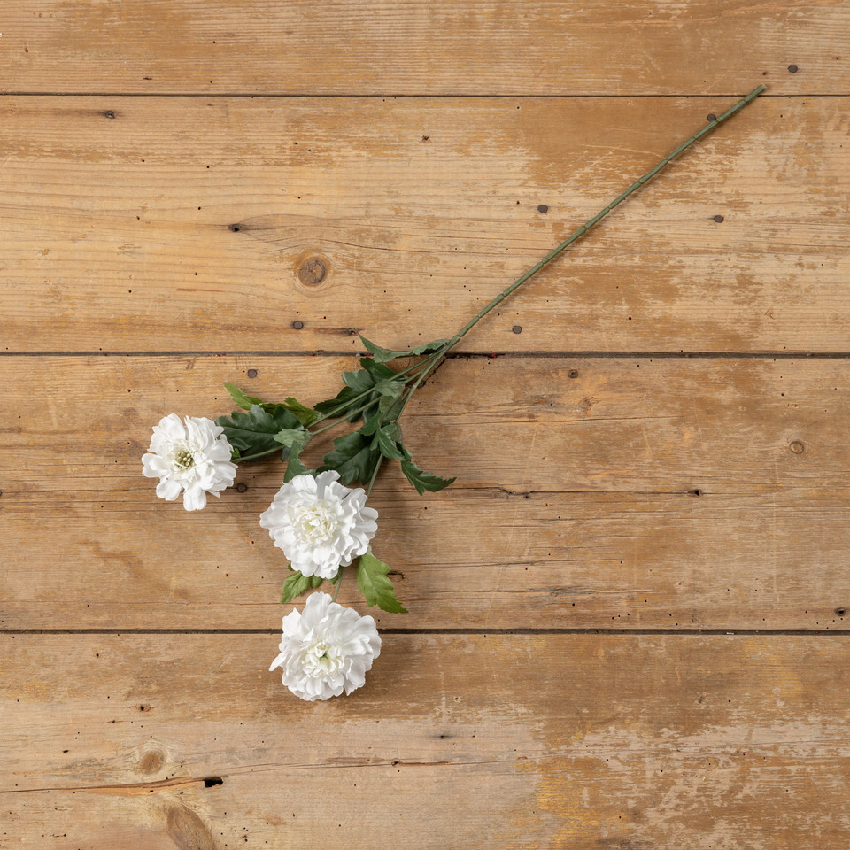 26" WHITE SCABIOSA SPRAY