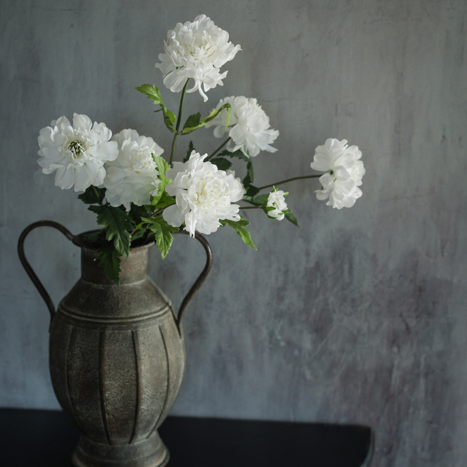 26" WHITE SCABIOSA SPRAY