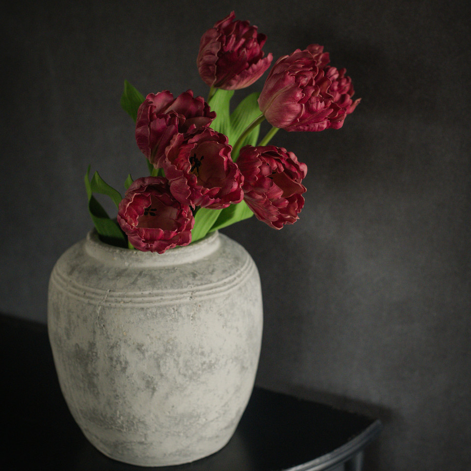 25" BURGUNDY TULIP STEM